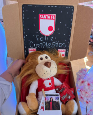 Regalo Fútbol