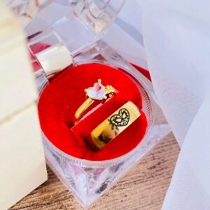 Anillos promesa