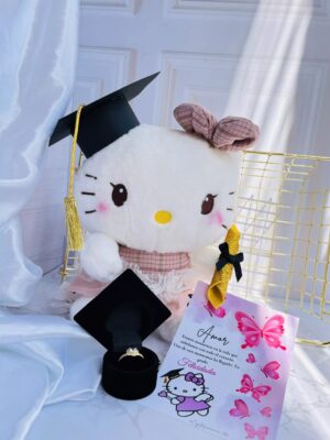 Hello kity graduada 2